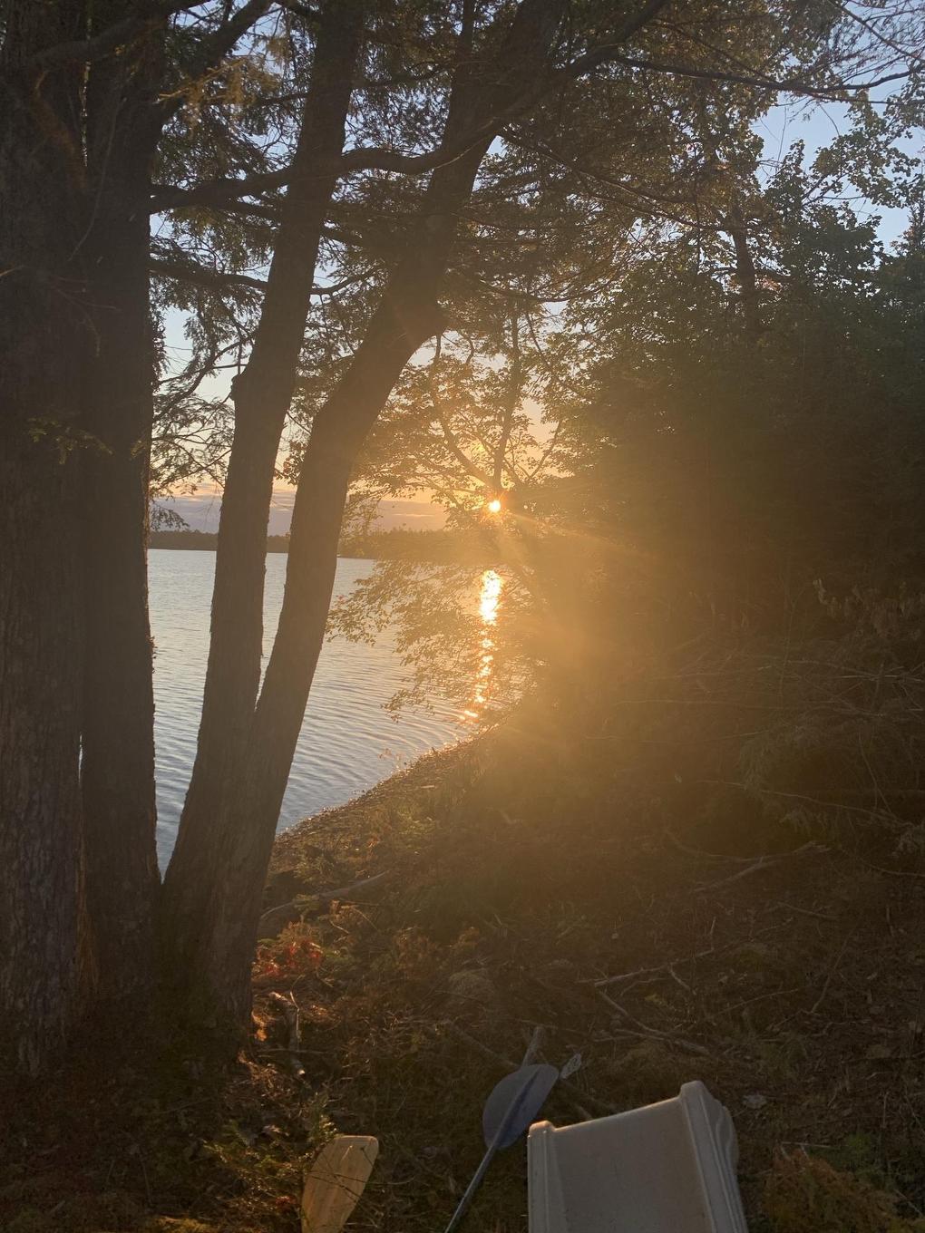 Lot 104 Arenburg Road, Buckfield, NS