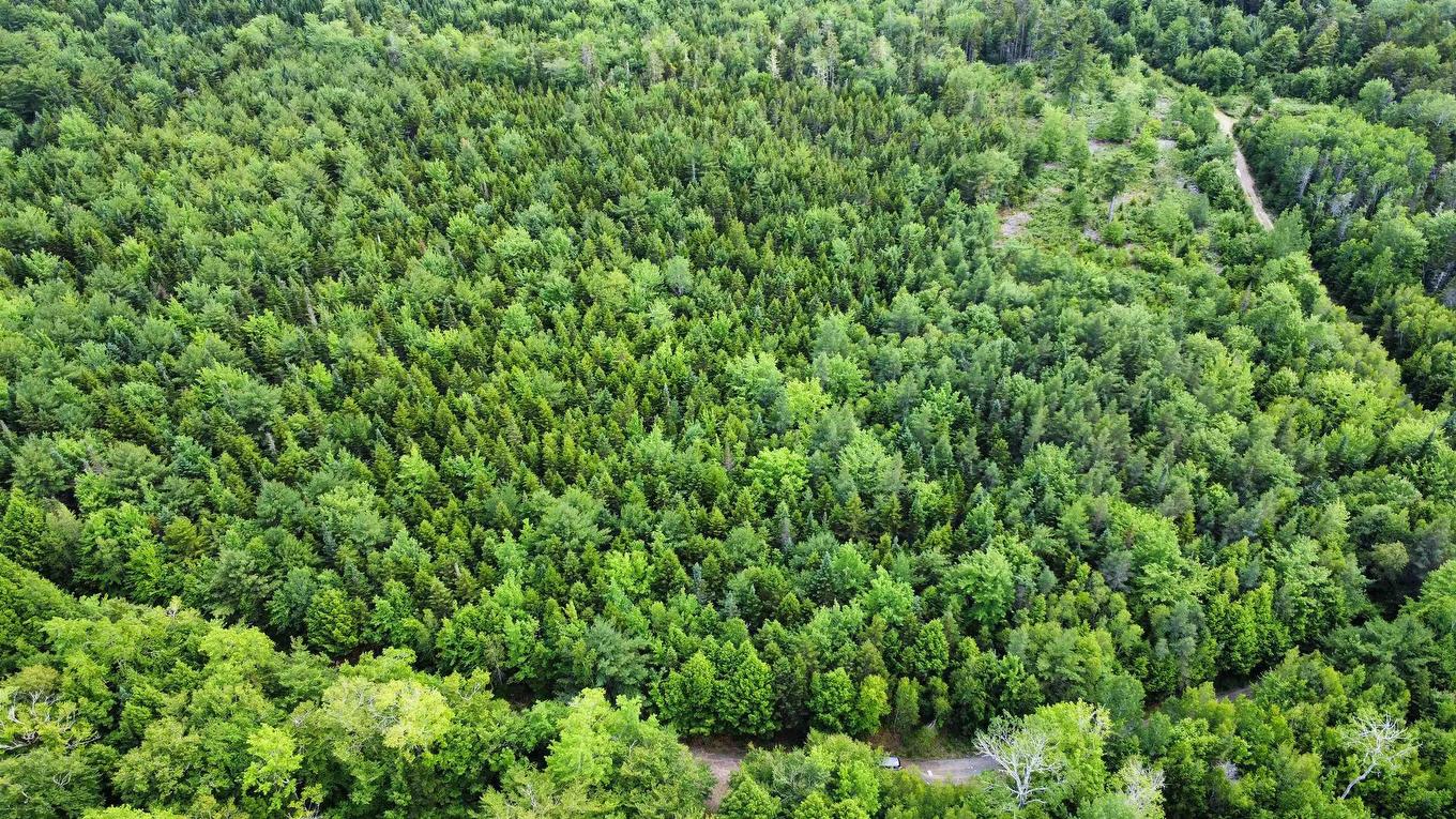 Lot 103 Arenburg Road, Buckfield, NS