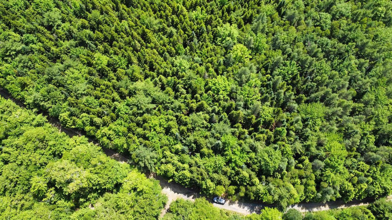 Lot 103 Arenburg Road, Buckfield, NS