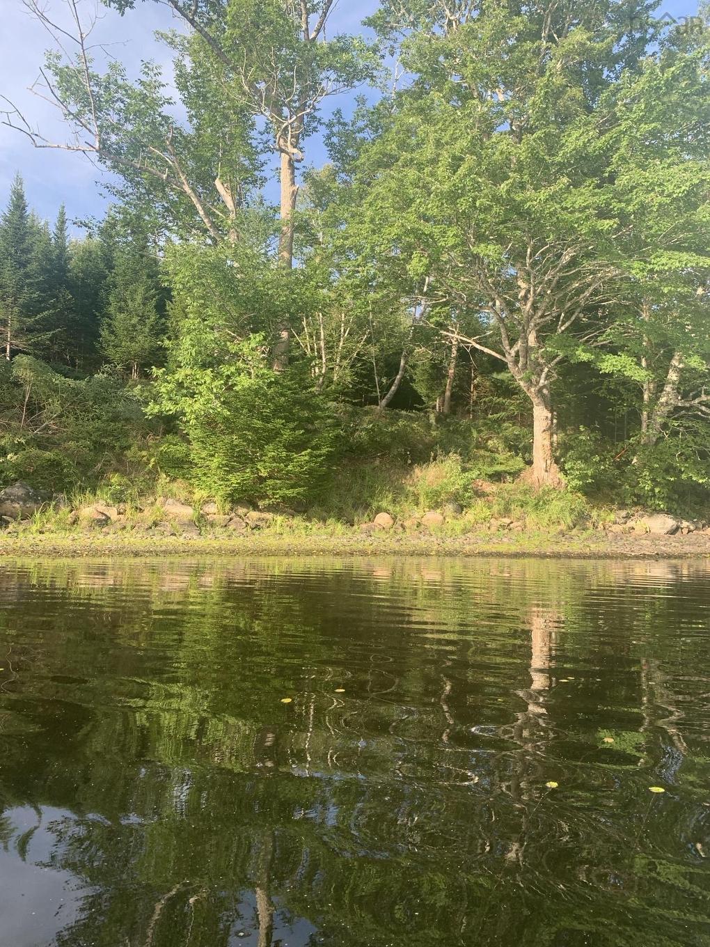 Lot 103 Arenburg Road, Buckfield, NS