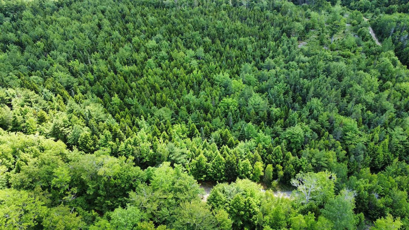 Lot 102 Arenburg Road, Buckfield, NS