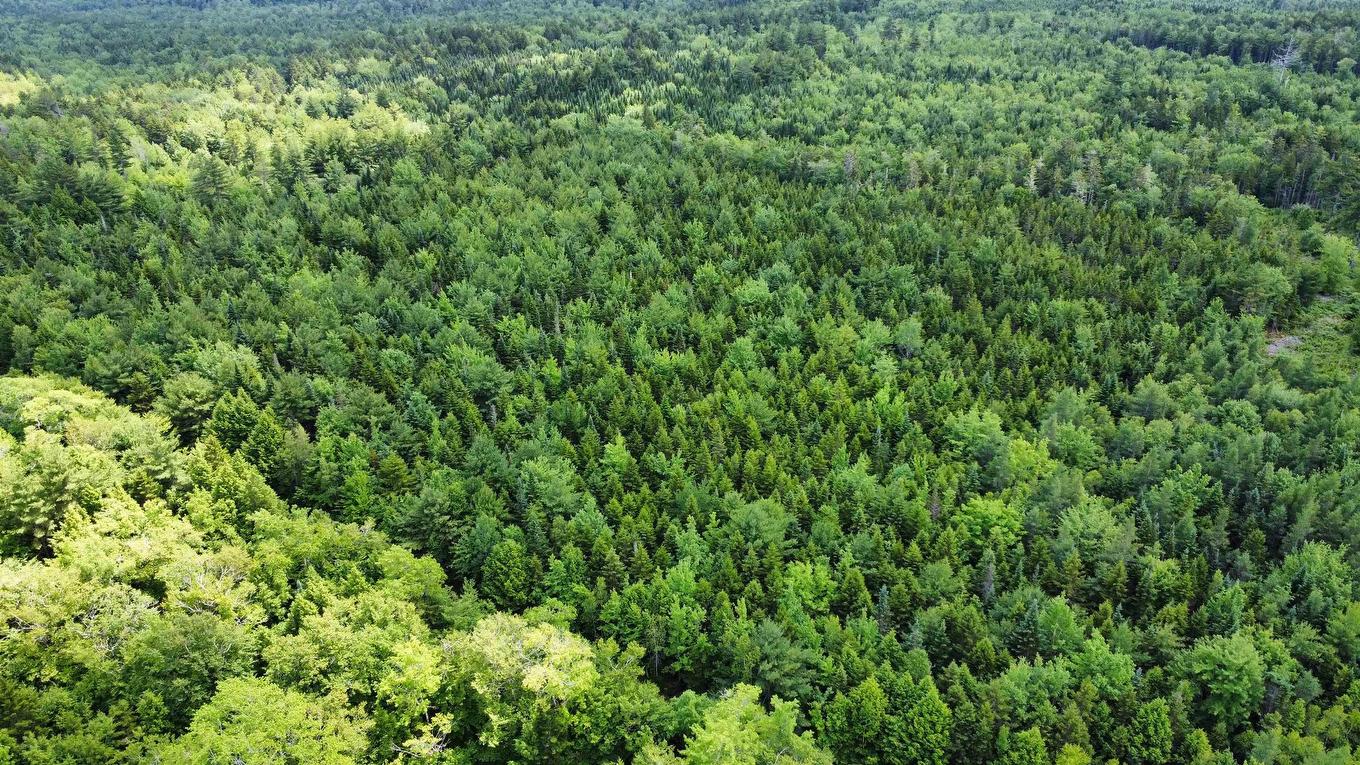 Lot 102 Arenburg Road, Buckfield, NS