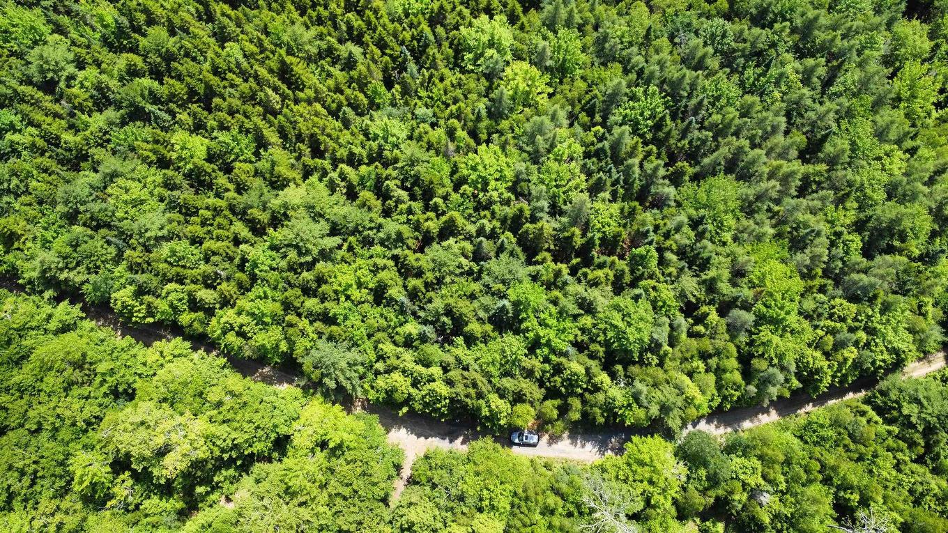 Lot 102 Arenburg Road, Buckfield, NS