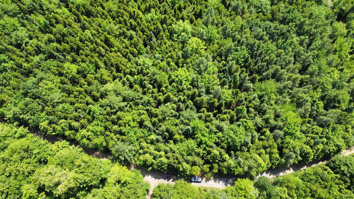 Lot 102 Arenburg Road, Buckfield, NS