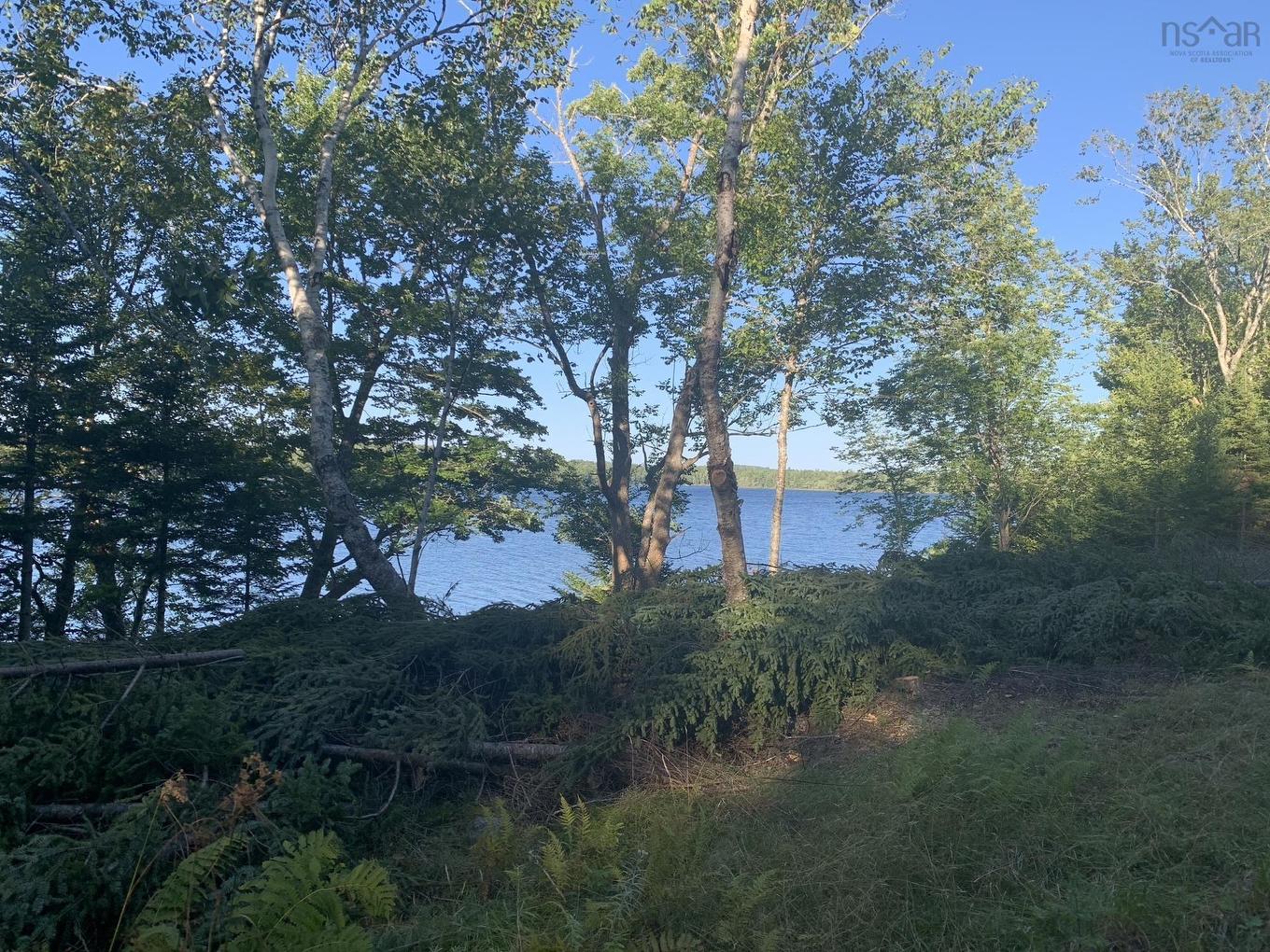 Lot 102 Arenburg Road, Buckfield, NS