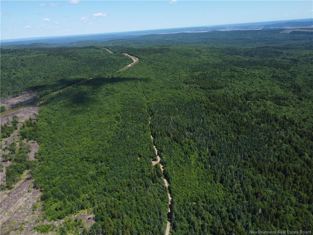 Lot Memel, Hopewell Hill, NB
