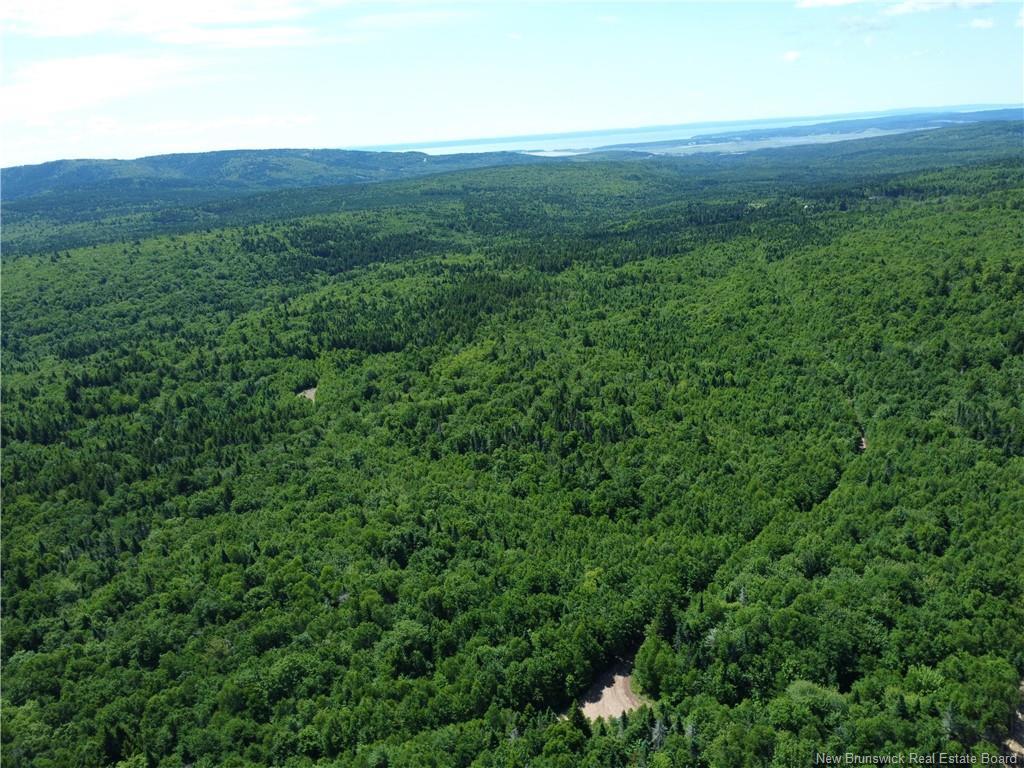 Lot Memel, Hopewell Hill, NB