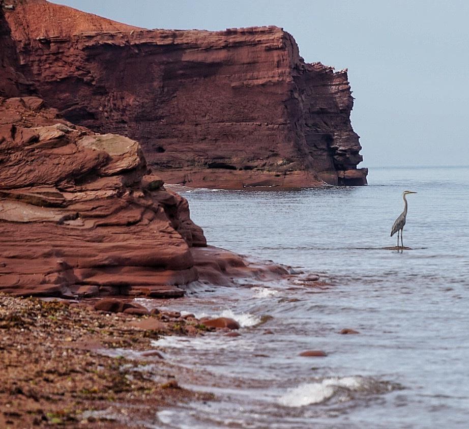 8519 Route 14, Campbellton, PE