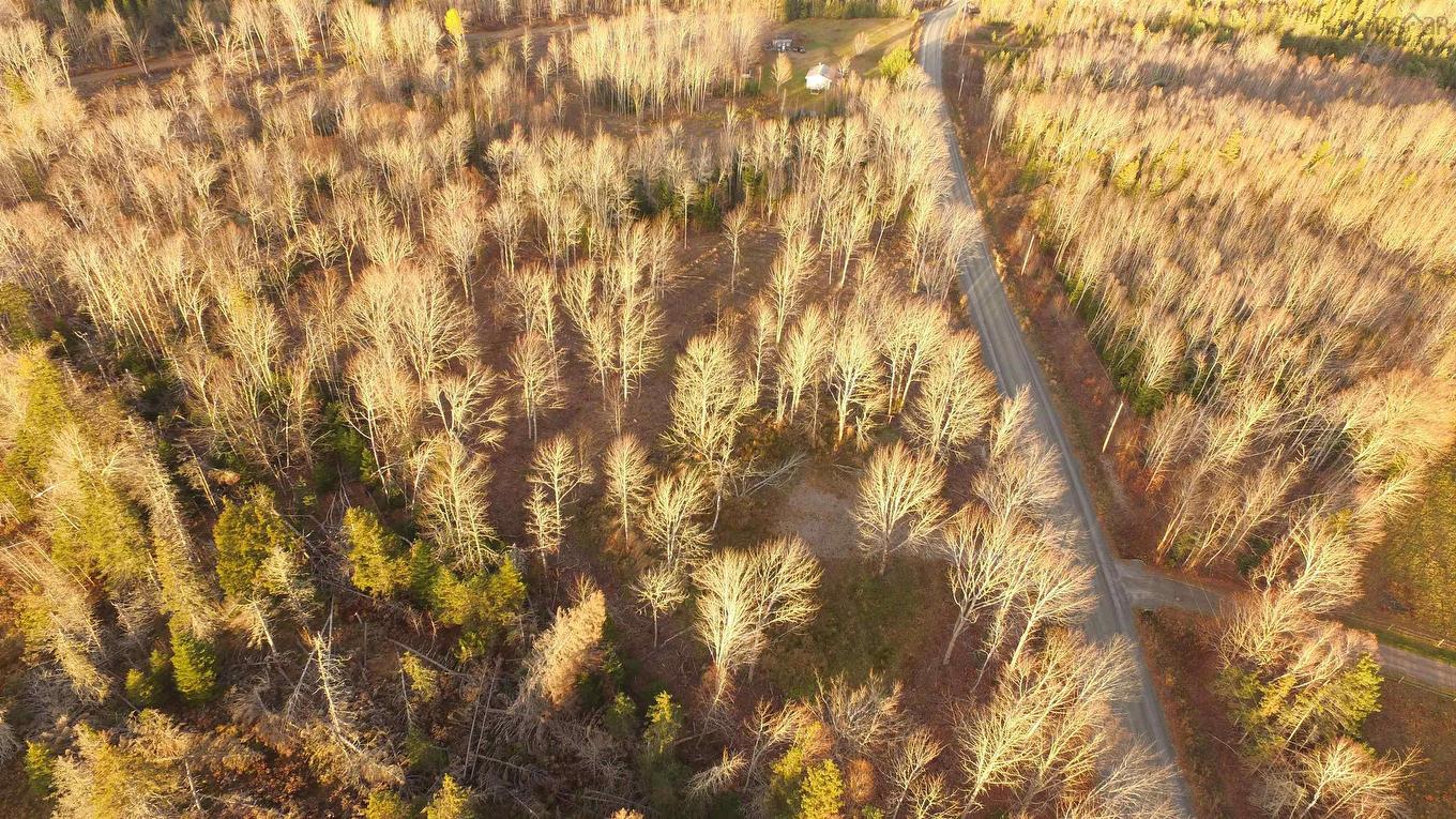 Brookland Road, Brookland, NS