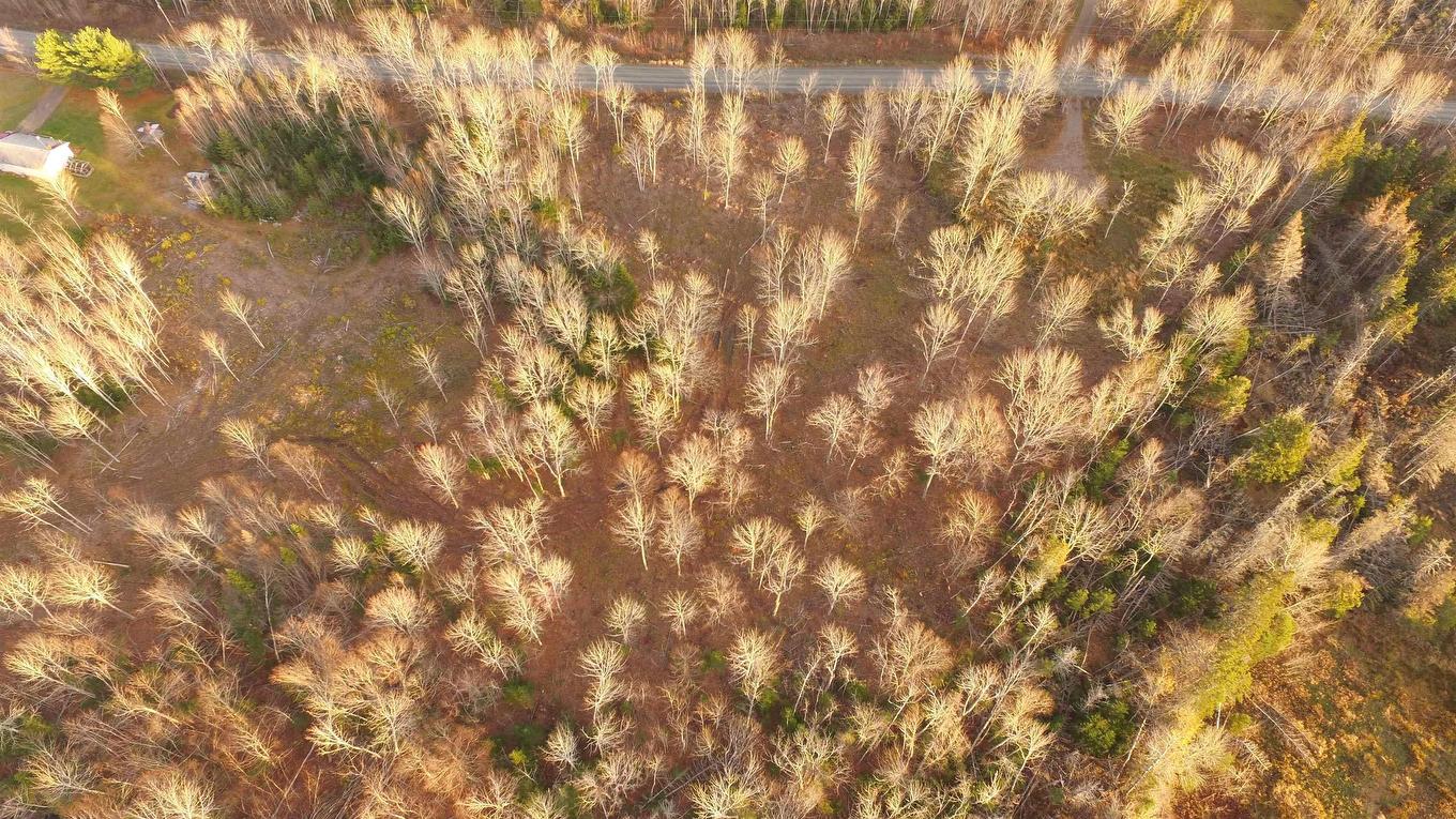 Brookland Road, Brookland, NS