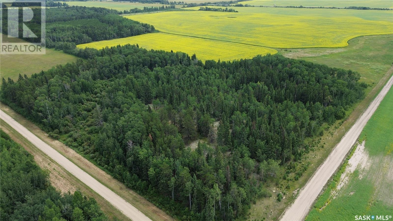 White Farm, Torch River Rm No. 488, SK