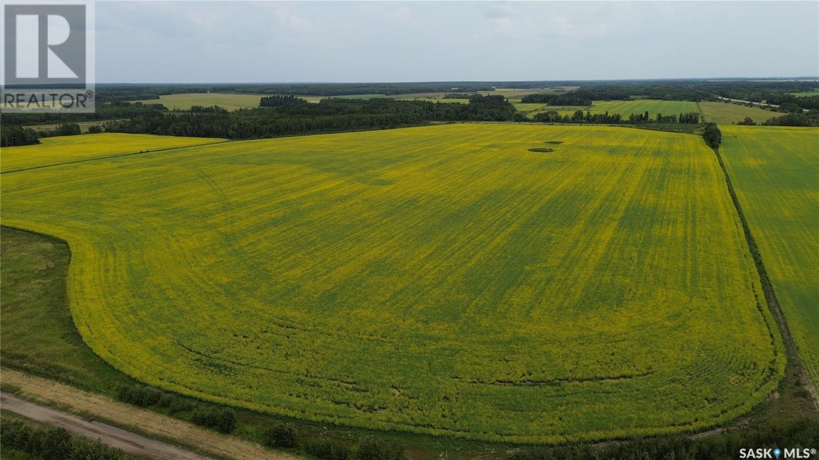 White Farm, Torch River Rm No. 488, SK