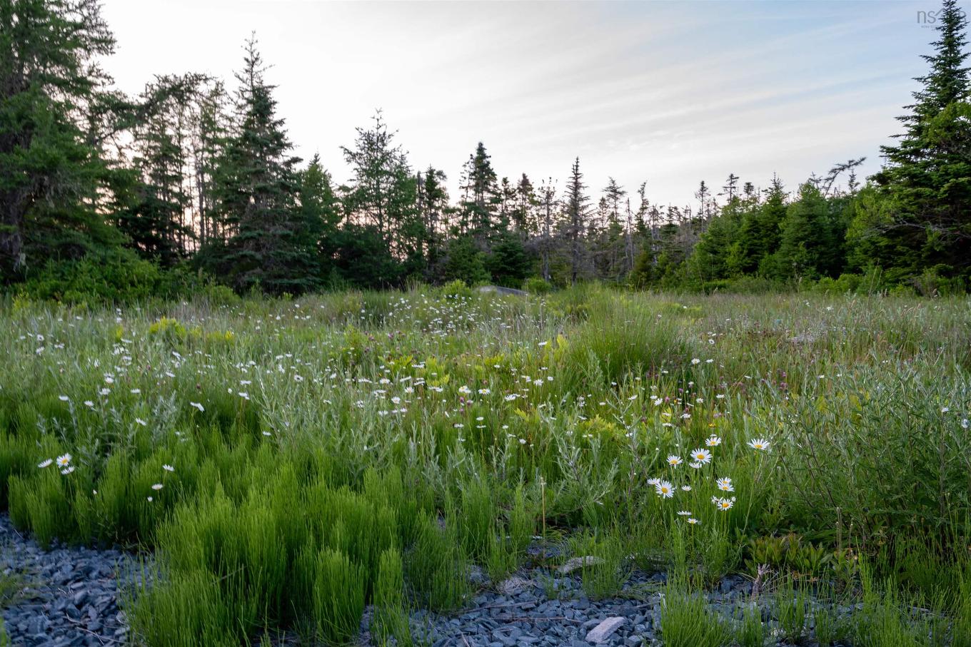 Lot B-4 Highway 7, Popes Harbour, NS