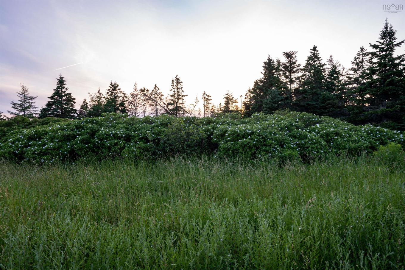 Lot B-4 Highway 7, Popes Harbour, NS