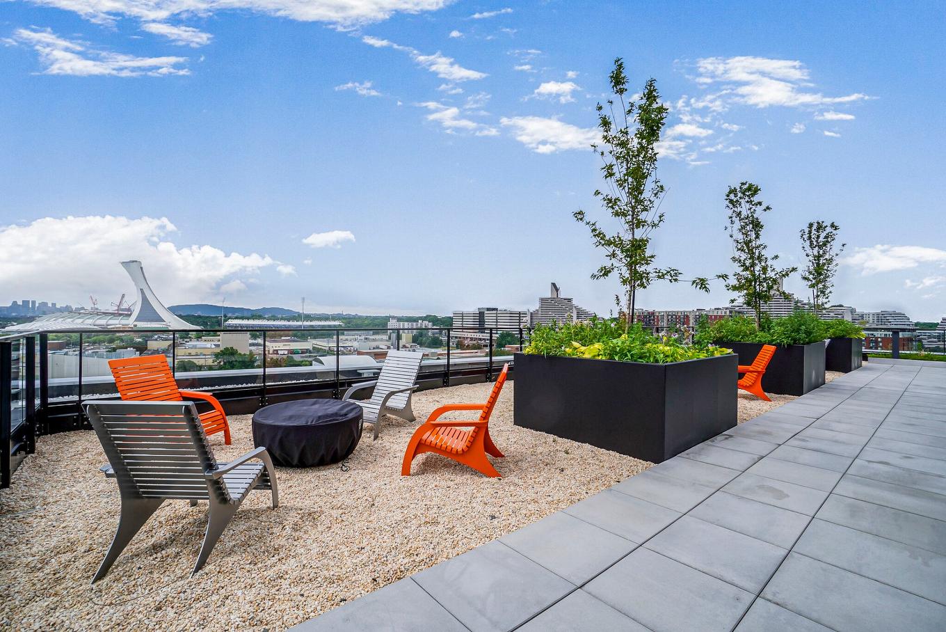 Terrasse - 1005-3045 Boul. De L'Assomption, Montréal (Mercier/Hochelaga-Maisonneuve), QC - Outdoor With View