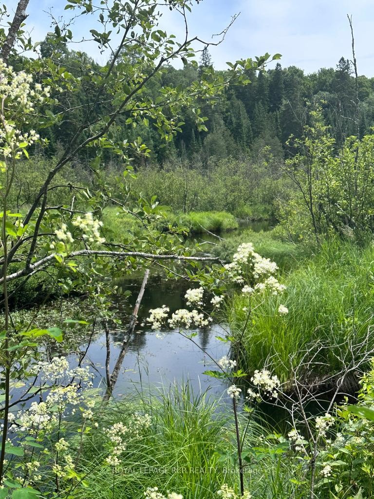 0 Pt Lt 6 Con 9 N/A, Highlands East, ON