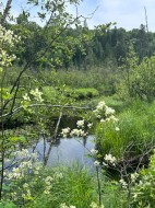 0 Pt Lt 6 Con 9 N/A Highlands East, ON K0M 1R0