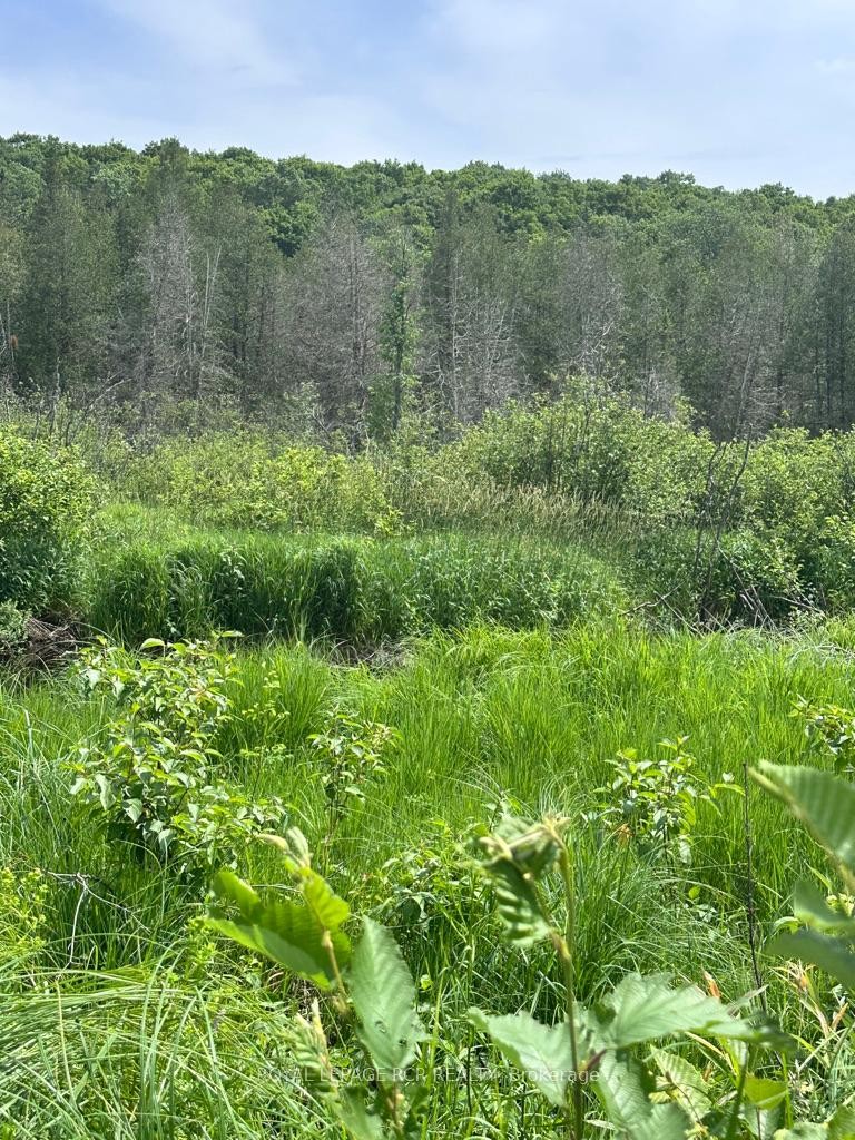 0 Pt Lt 6 Con 9 N/A, Highlands East, ON