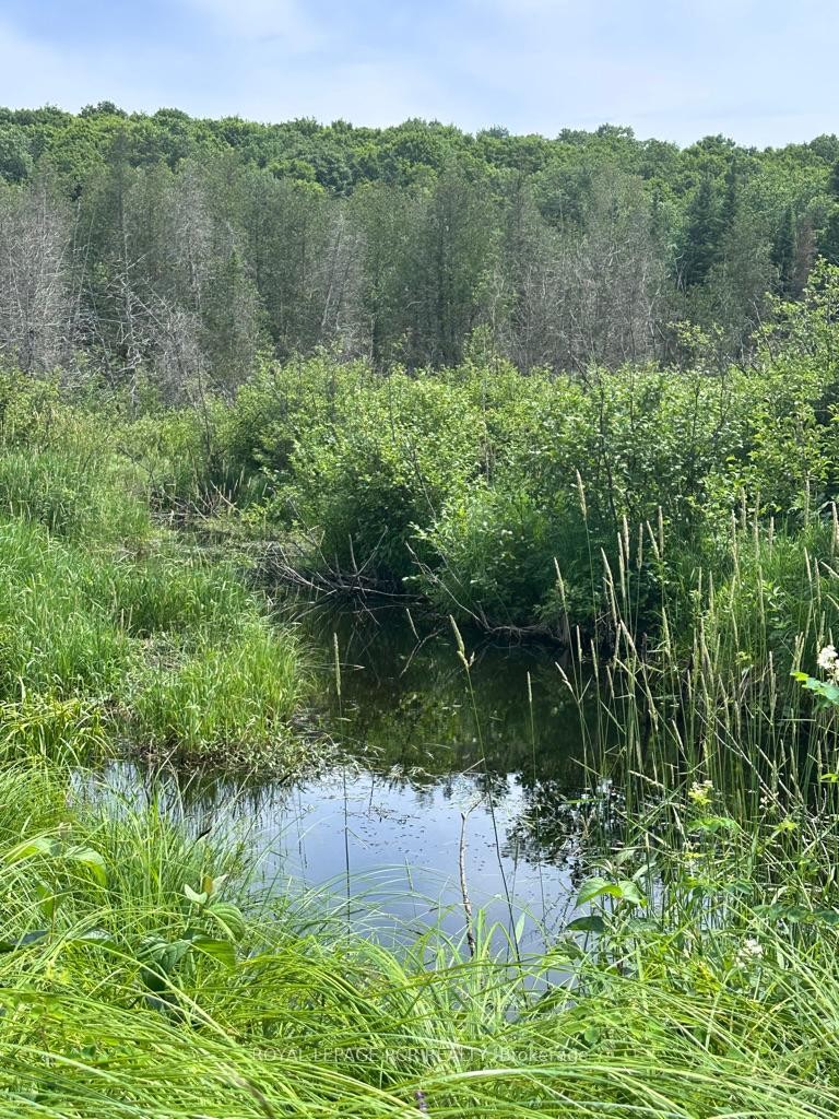 0 Pt Lt 6 Con 9 N/A, Highlands East, ON