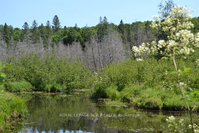 0 Pt Lt 6 Con 9 N/A, Highlands East, ON