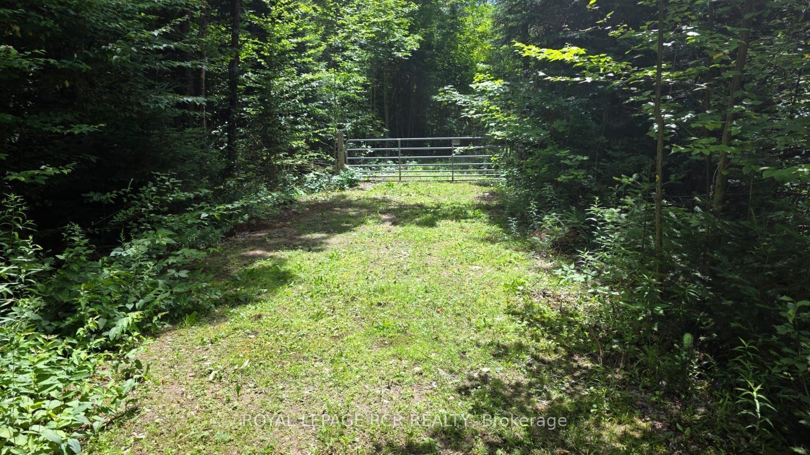 Pt Lot 6 Con 10 Monmouth Madill Road, Highlands East, ON