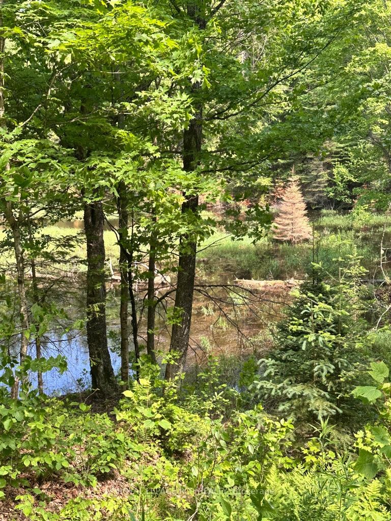 Pt Lot 6 Con 10 Monmouth Madill Road, Highlands East, ON