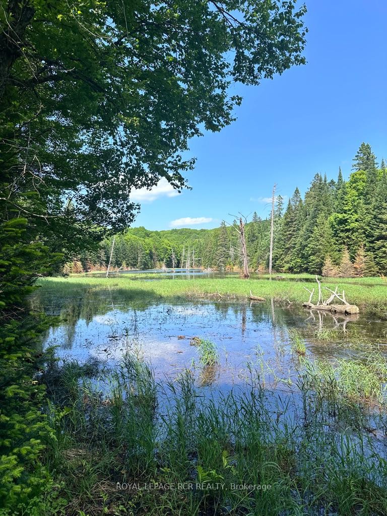 Pt Lot 6 Con 10 Monmouth Madill Road, Highlands East, ON