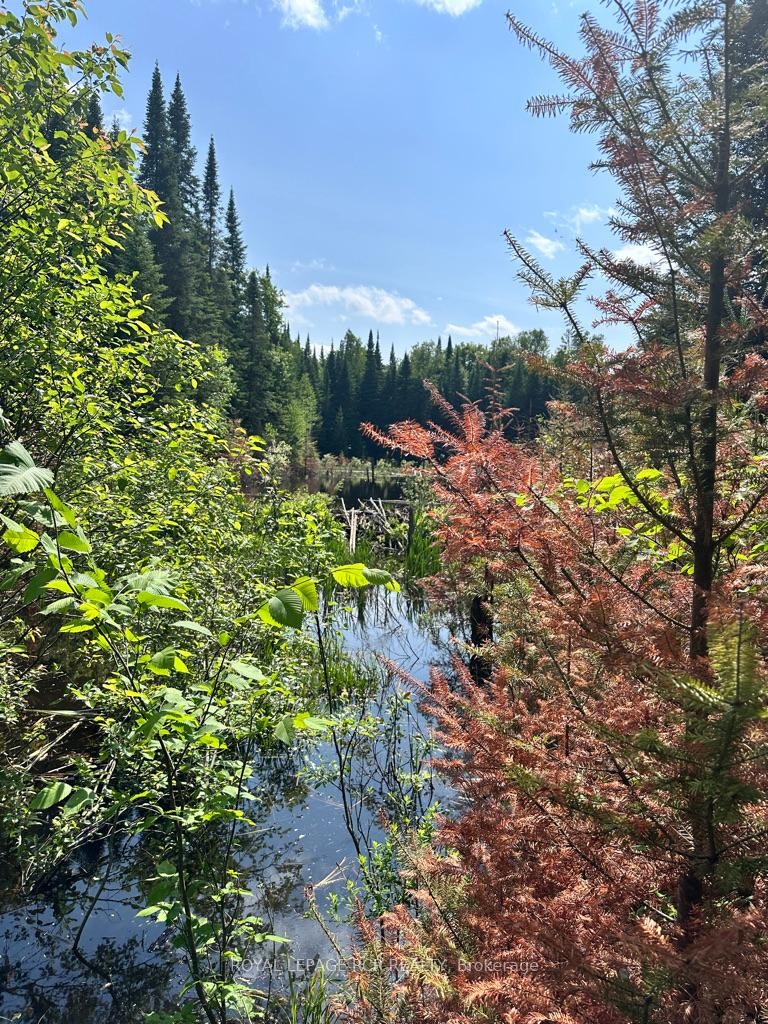 Pt Lot 6 Con 10 Monmouth Madill Road, Highlands East, ON