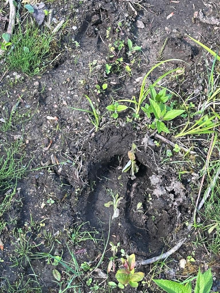 Pt Lot 6 Con 10 Monmouth Madill Road, Highlands East, ON