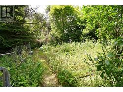 Garden area in back yard -