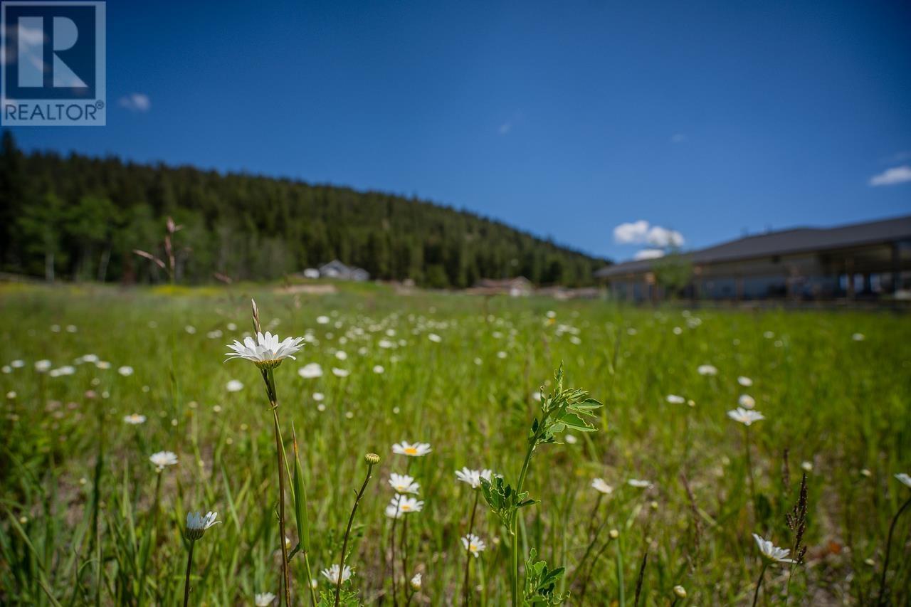 Lot 40 Blackstock Road, 100 Mile House, BC