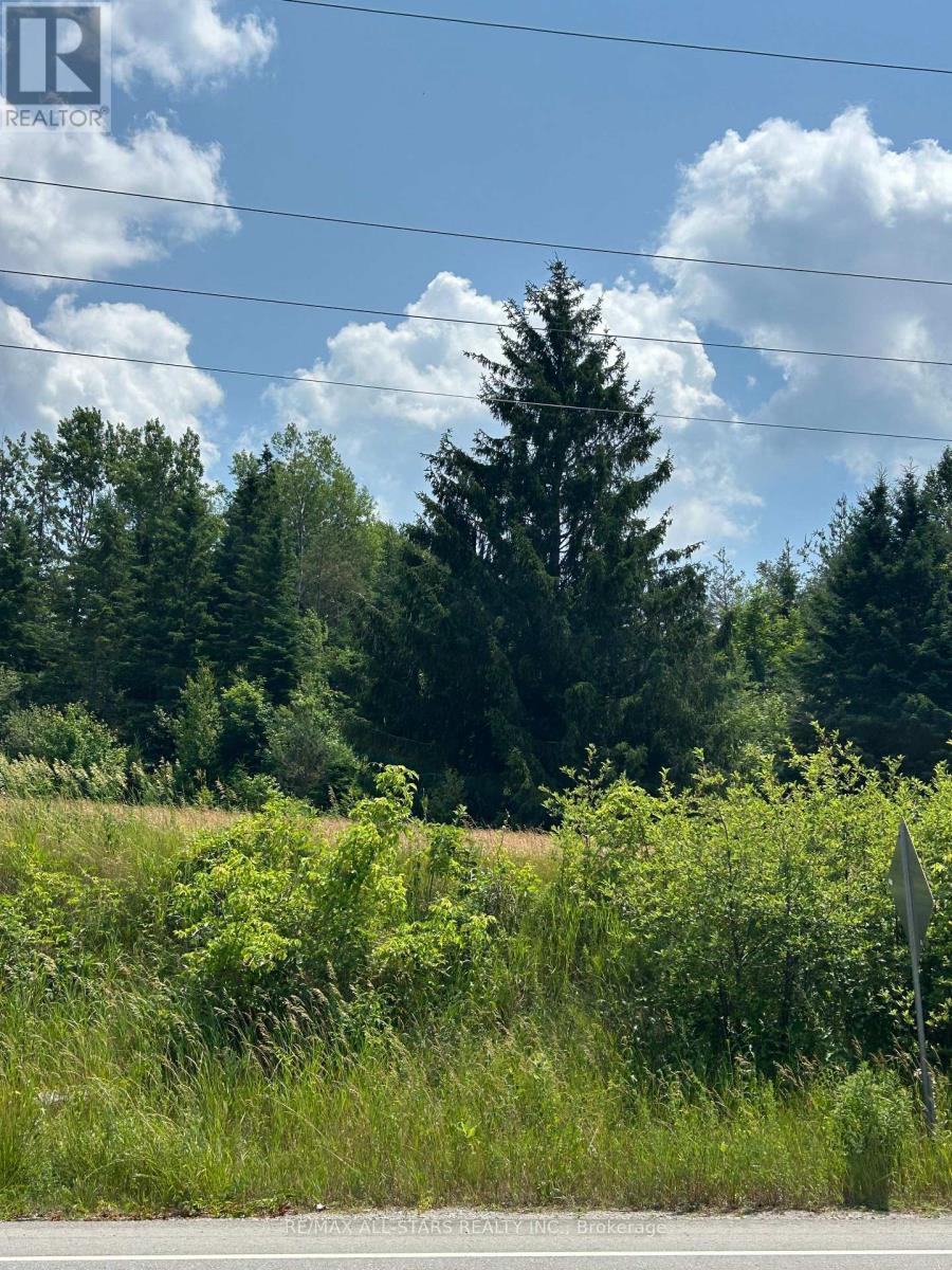 2,4,6 Thomas Street, Kawartha Lakes (Pontypool), ON