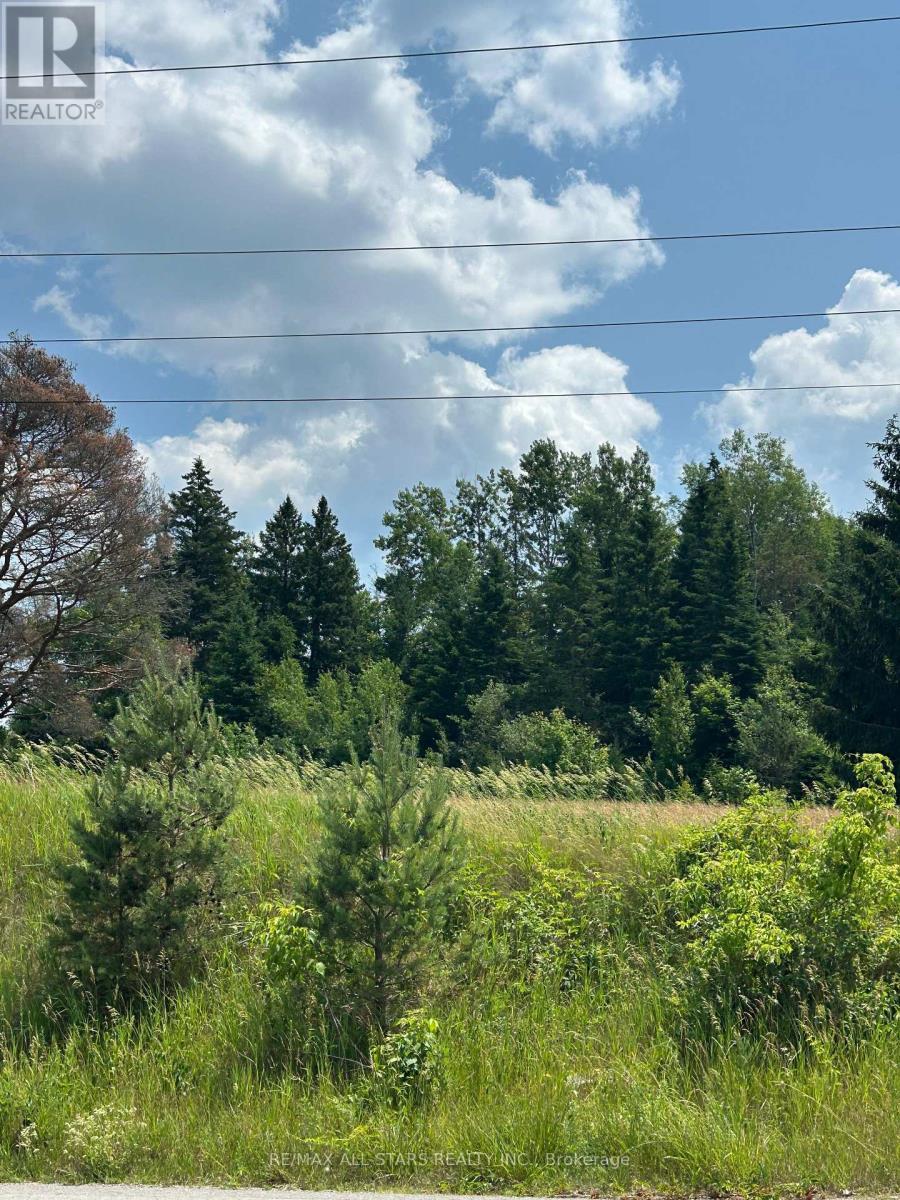 2,4,6 Thomas Street, Kawartha Lakes (Pontypool), ON