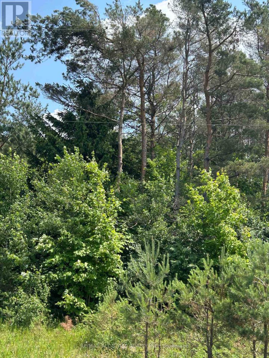 2,4,6 Thomas Street, Kawartha Lakes (Pontypool), ON