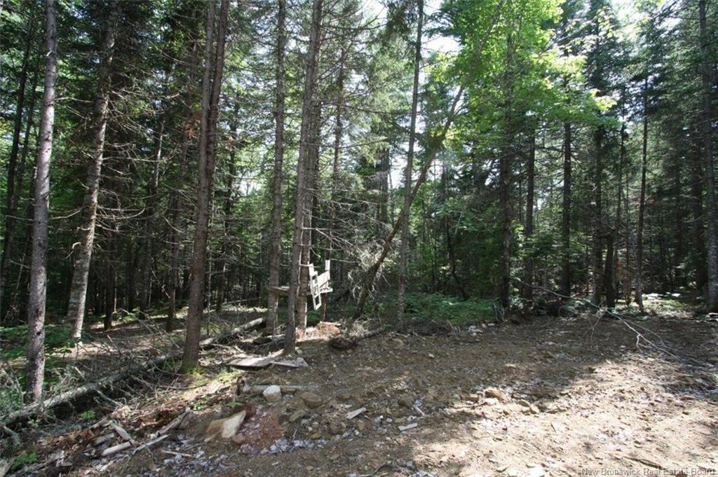 916 Storeytown Rd, Doaktown, NB