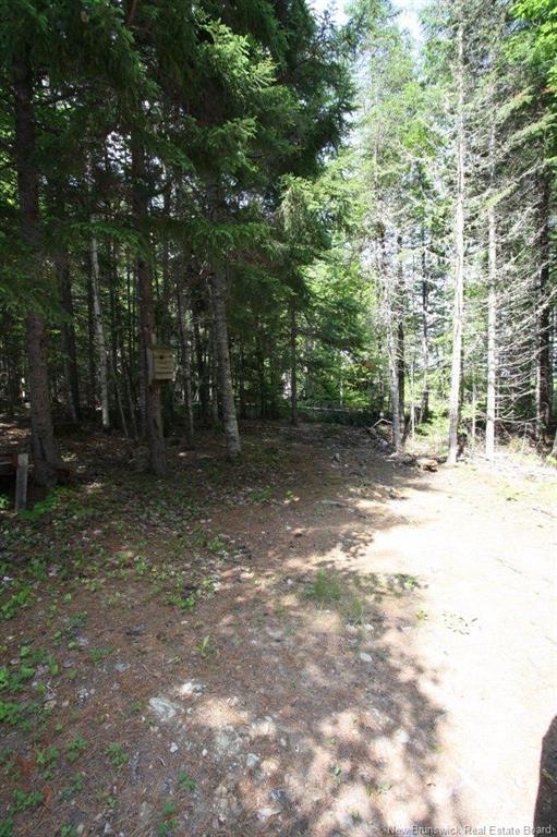 916 Storeytown Rd, Doaktown, NB