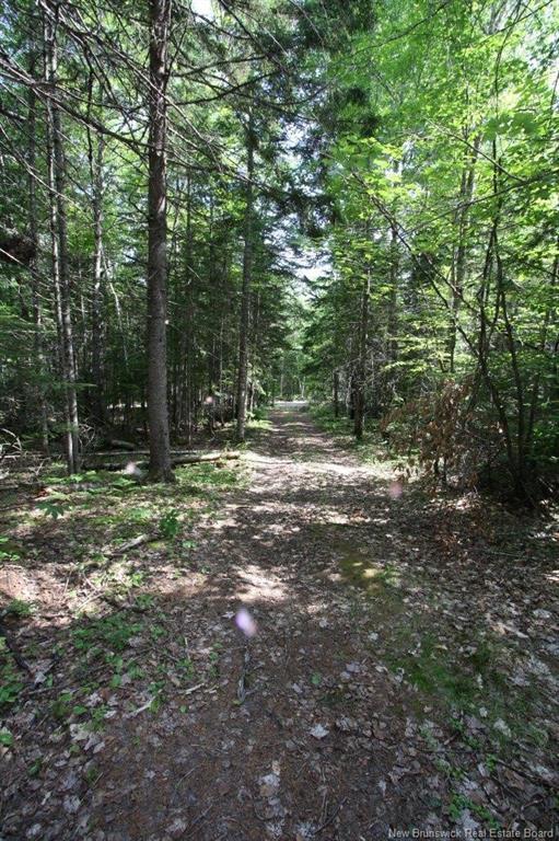 916 Storeytown Rd, Doaktown, NB