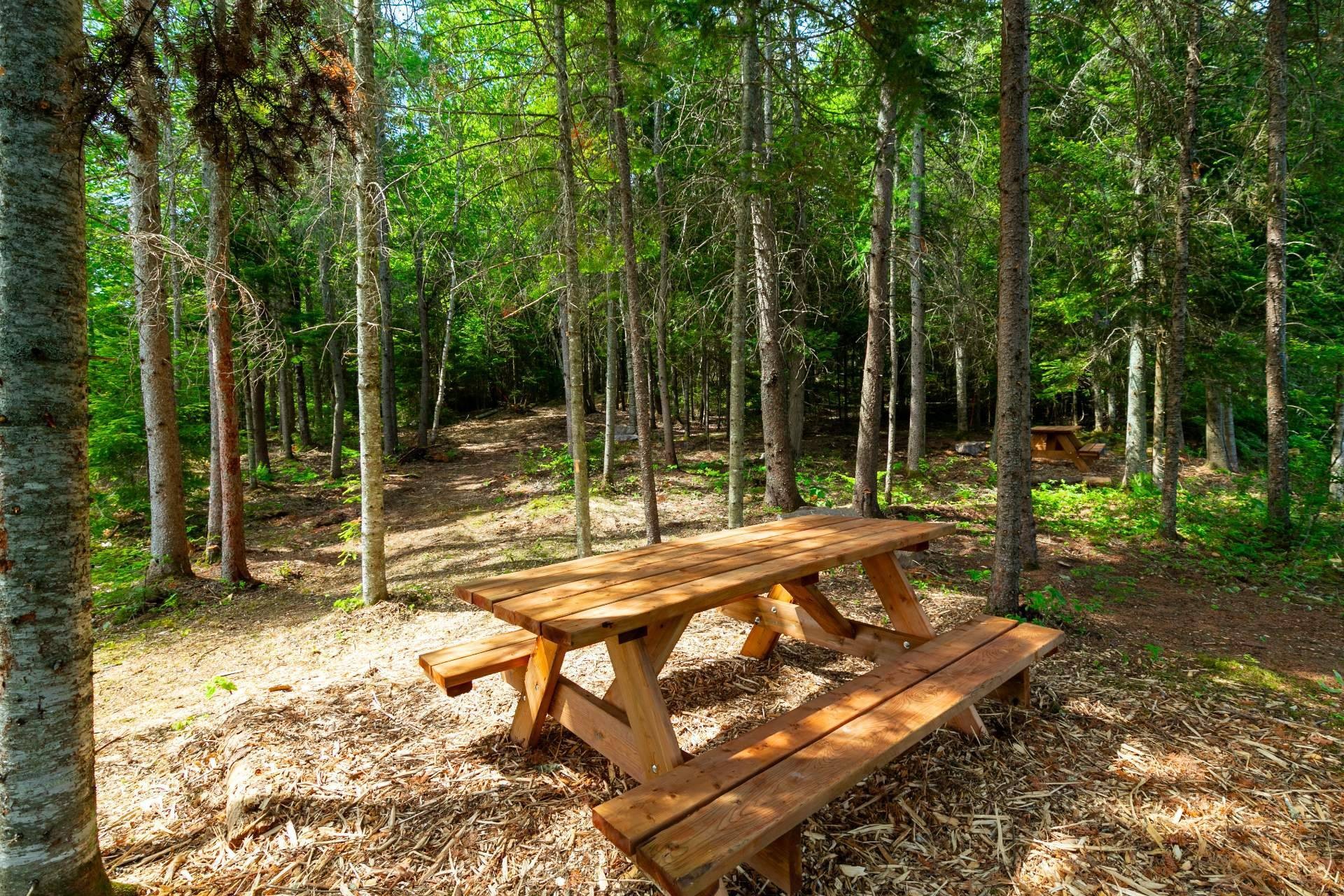 Accès au plan d'eau - Ch. Olivier-Paradis, Labelle, QC