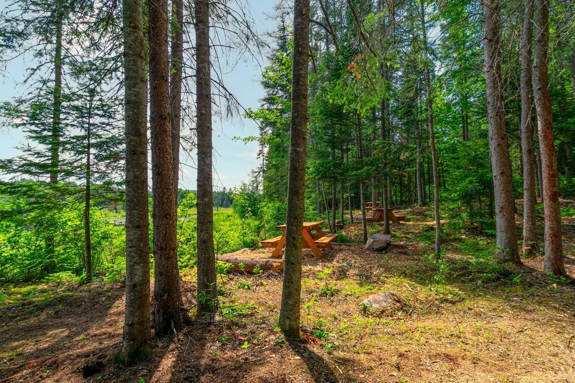 Accès au plan d'eau - Ch. Olivier-Paradis, Labelle, QC