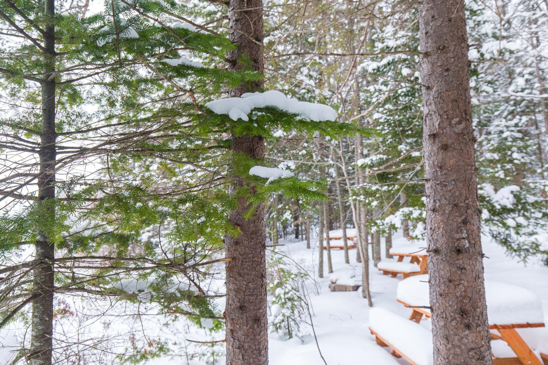 Accès au plan d'eau - Ch. Olivier-Paradis, Labelle, QC