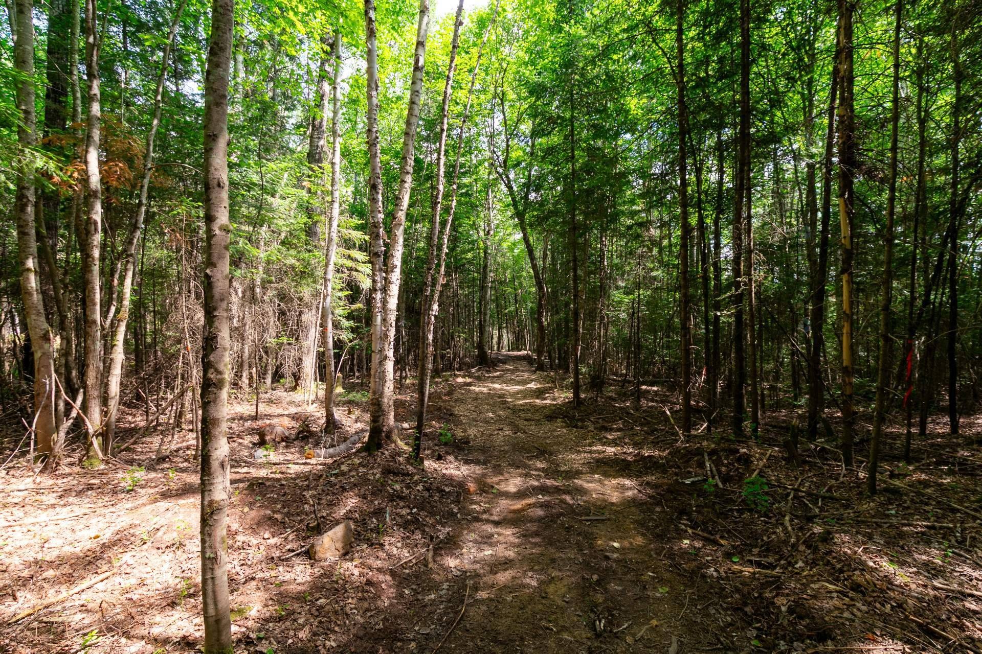Boisé - Ch. Olivier-Paradis, Labelle, QC