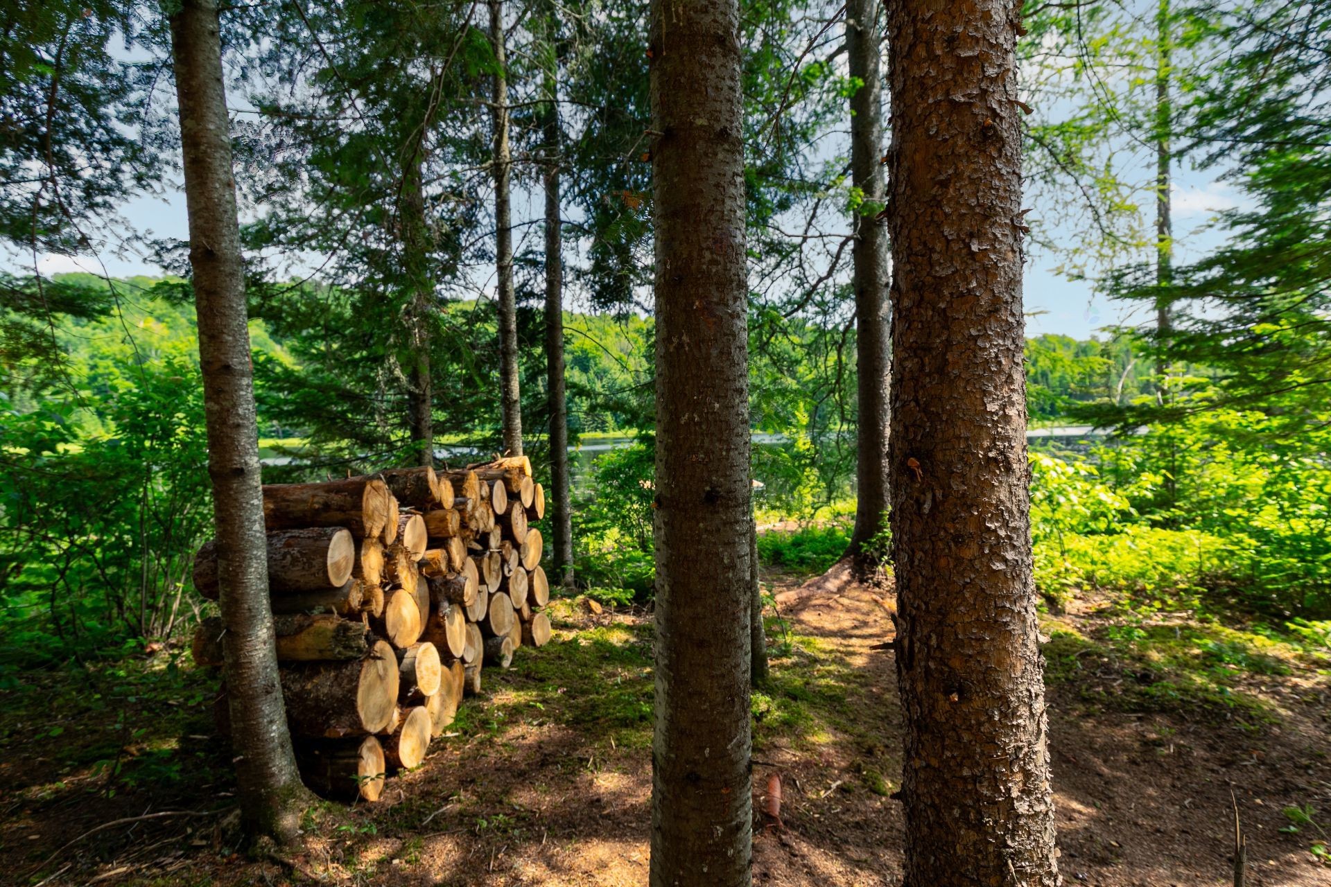 Accès au plan d'eau - Ch. Olivier-Paradis, Labelle, QC
