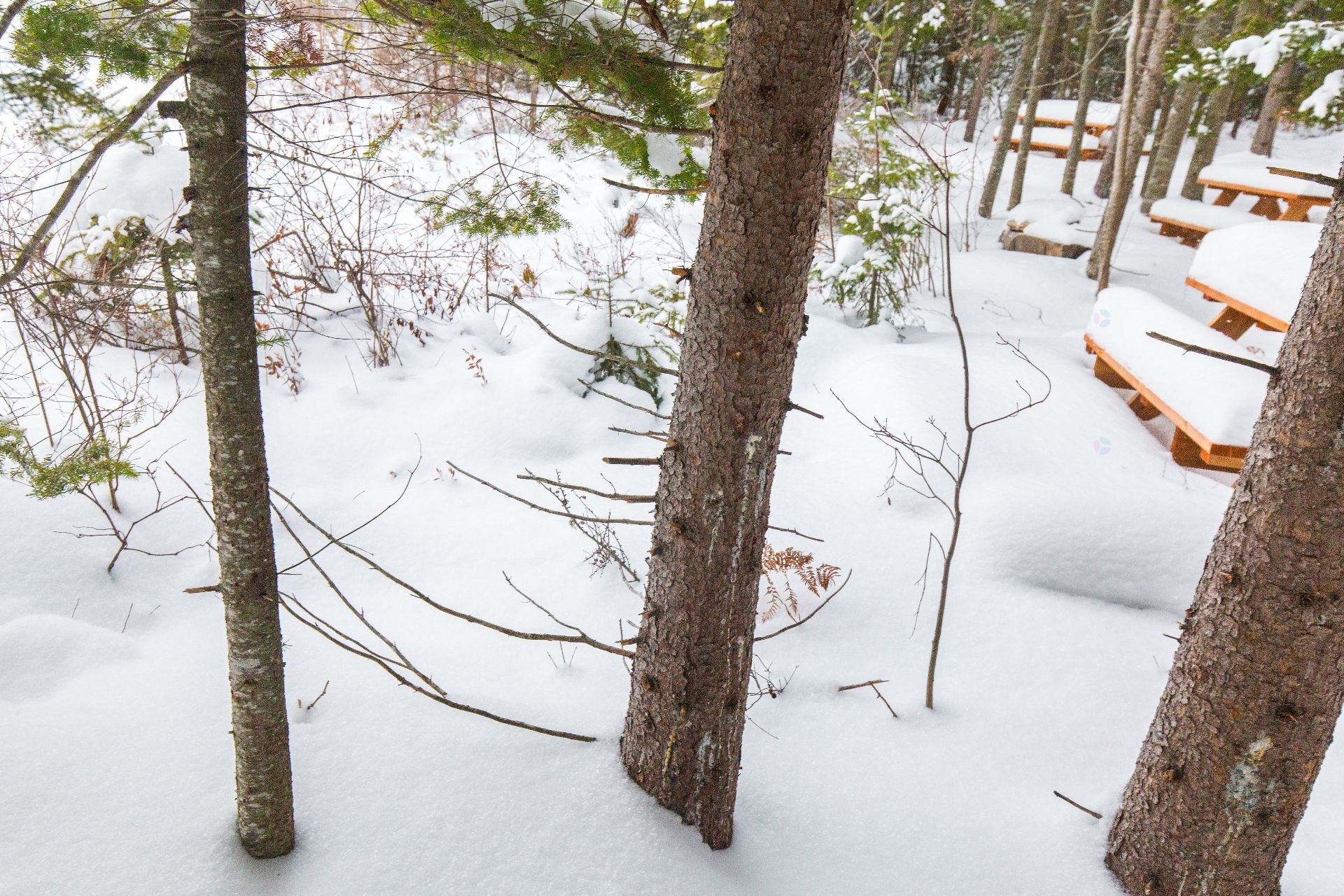 Accès au plan d'eau - Ch. Olivier-Paradis, Labelle, QC