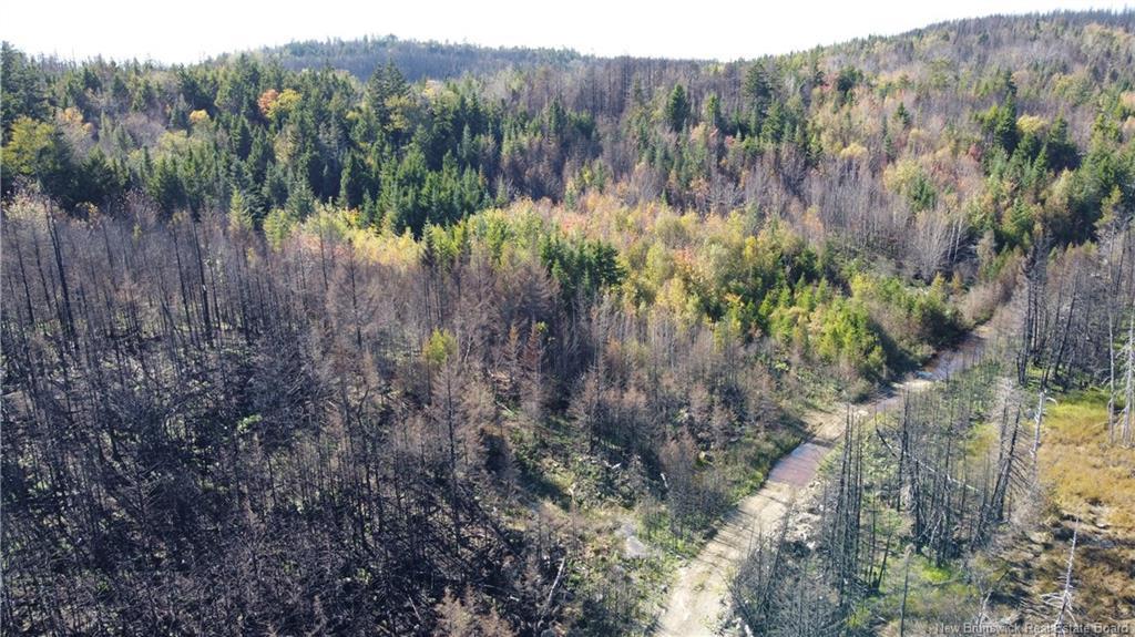 Lot 4 Route 127, Bocabec, NB