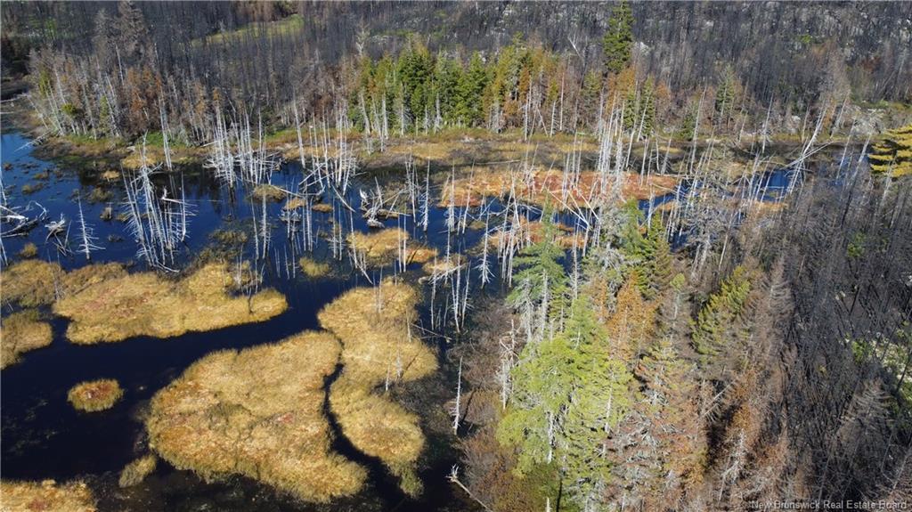 Lot 4 Route 127, Bocabec, NB