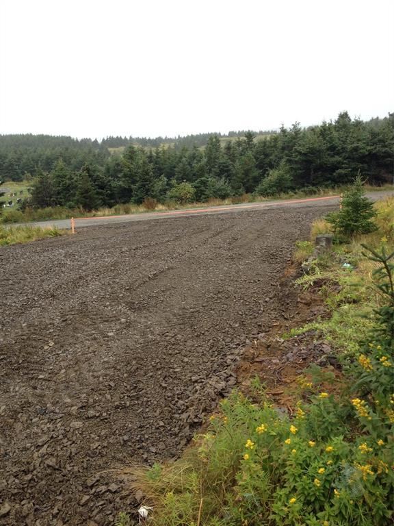 4 Cemetery Hill, Bell Island, NL