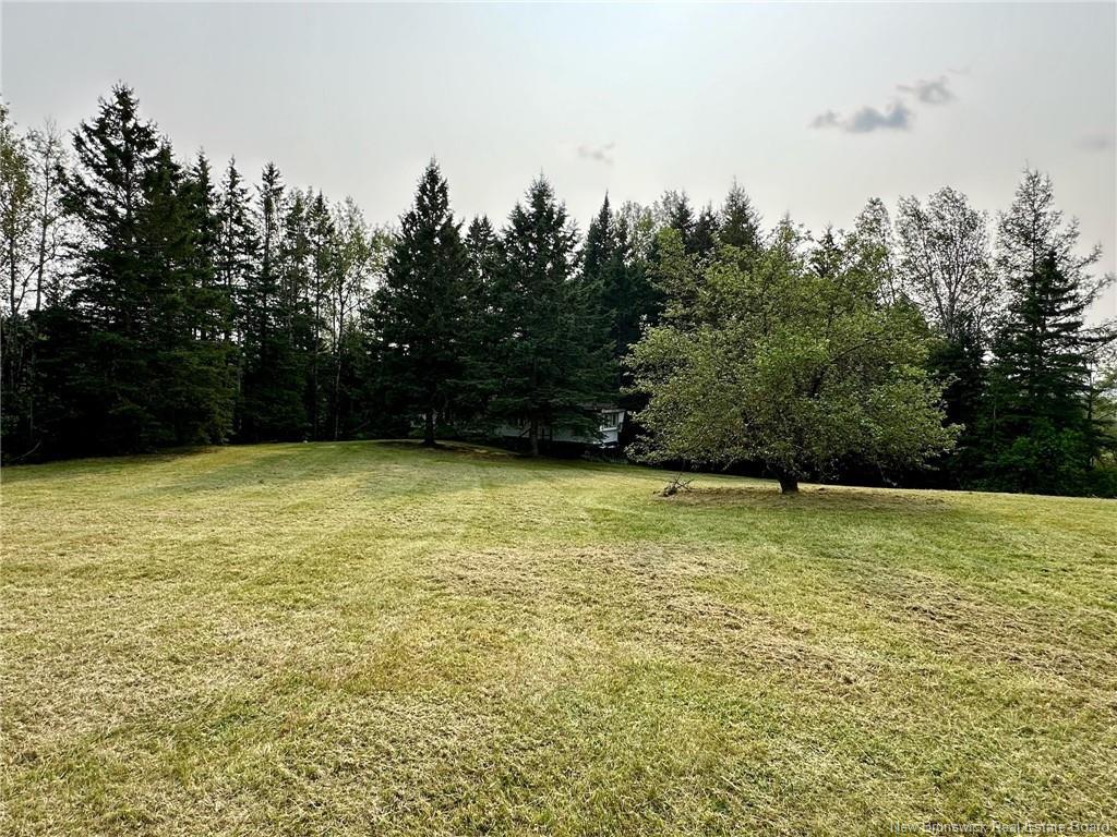 124 Francoeur Hill Rd, New Denmark, NB