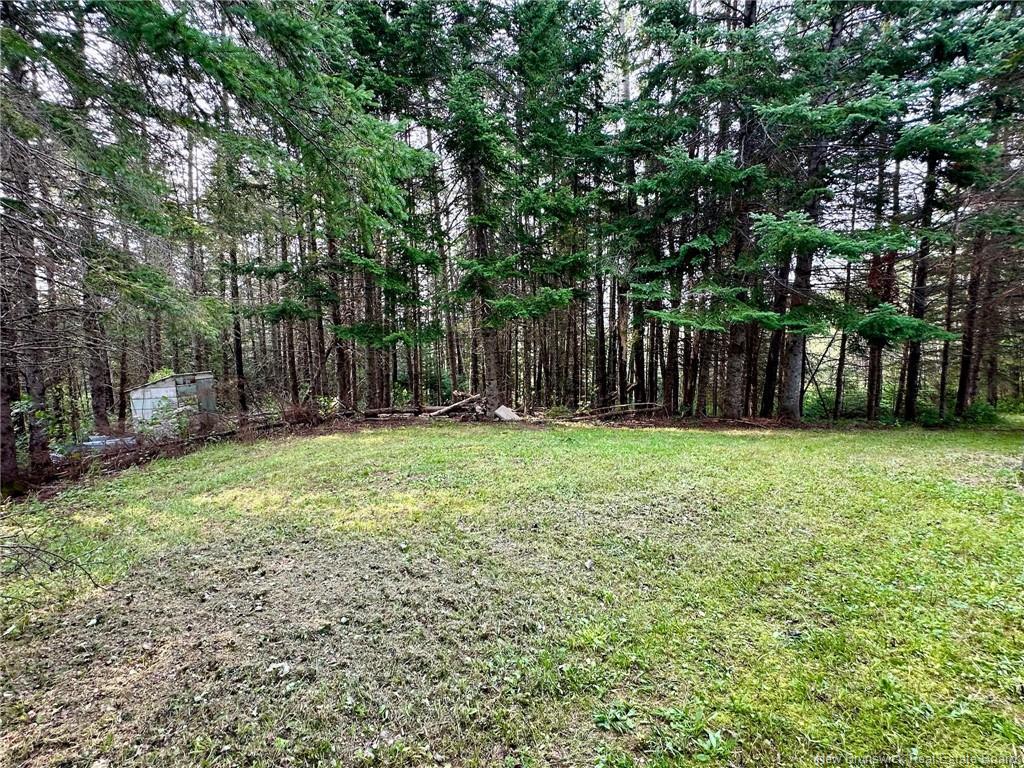 124 Francoeur Hill Rd, New Denmark, NB