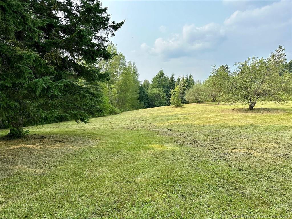 124 Francoeur Hill Rd, New Denmark, NB