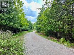 Treed driveway to county rd 36 -